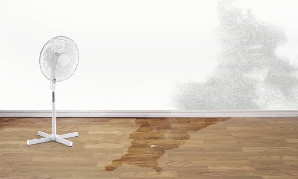 Reliable Susquehanna Trails, PA Water damage restoration Solutions