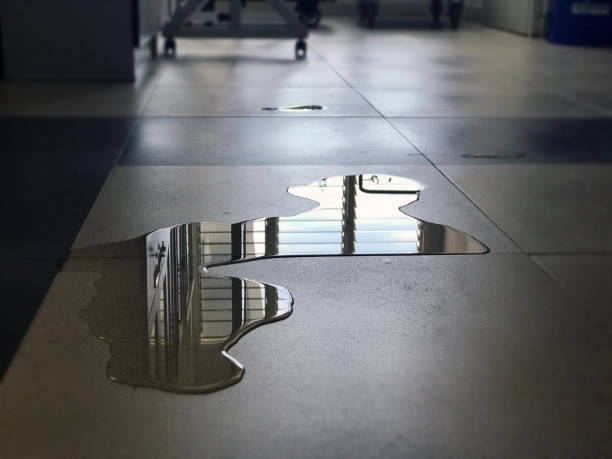 Best 24-hour water damage restoration  in Susquehanna Trails, PA