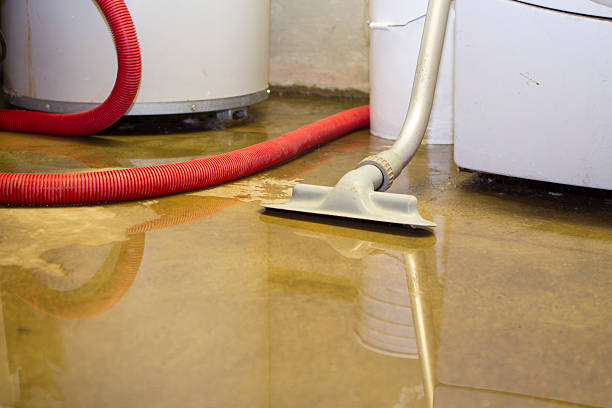 Best Sewage cleanup and water damage restoration  in Susquehanna Trails, PA