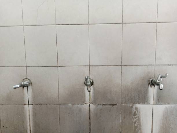 Best Water damage cleanup near me  in Susquehanna Trails, PA