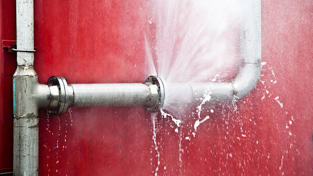 Best Carpet water damage restoration  in Susquehanna Trails, PA